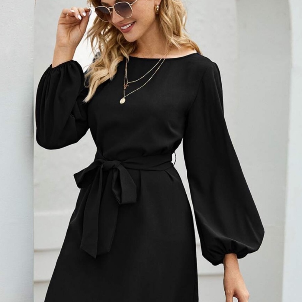 Blue long lantern sleeve  belted dress - Picture 7 of 16